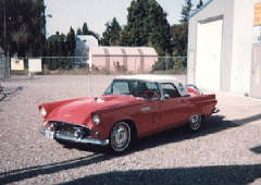 1956Bird-1.JPG