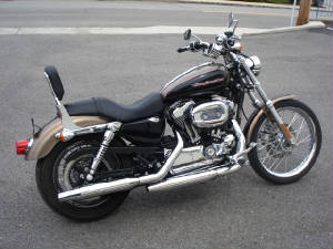 2005XL1200CGld-Blk1875Miles.JPG