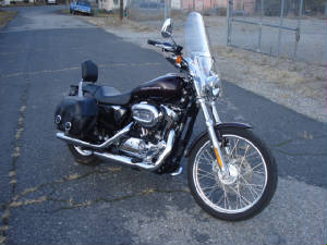2007XL1200CPurp2-C11-14-10.JPG