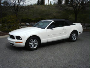 2008FordMustangCvtWht.JPG