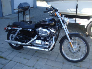 2008XL1200CBlk-11-C1.JPG